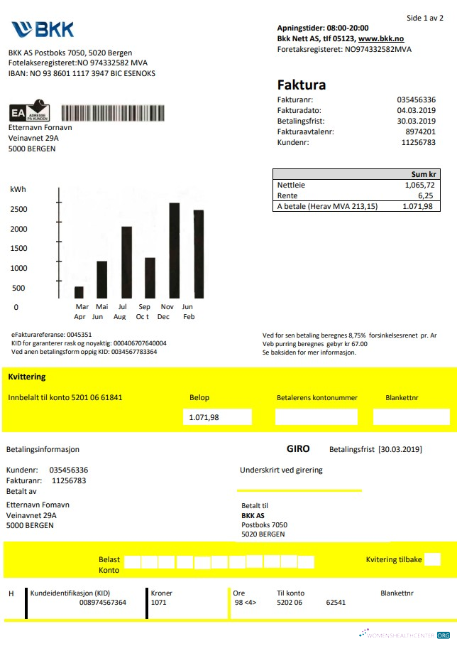download Norway BKK electricity utility bill template in Word and PDF format, good for address prove PDF template